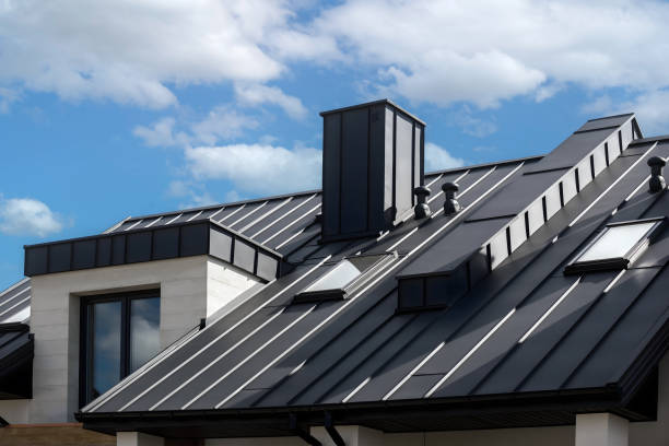 Best Solar Panel Roofing Installation  in Corrigan, TX